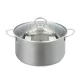 Alpina rozsdamentes acél fazék fedővel, ezüst színű, 6l 24x13,5cm, indukciós, és minden hőforráshoz használható