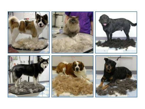 Kutyafésű / kisállat fésű, nagy, 10 cm széles, fekete/sárga