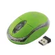 TM120G vezeték nélküli egér 2,4 GHz 3D, optikai USB Condor zöld