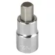 Proline 1/2 '' 6pt bit adapter, 7 mm-es