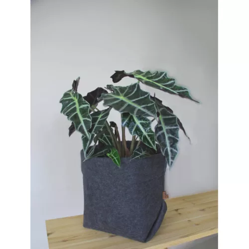 BERTONI EE Simple XXL virágcserép takaró - 30 cm