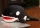 Plüss Orca Óceánbáb 30 cm