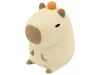 Tracer Capybara éjszakai fény