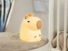 Tracer Capybara éjszakai fény