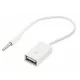AK290 3,5 mm-es usb mini jack aux adapter