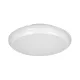 LAPIS LED 12W, mennyezeti lámpa, 800lm, IP65, 4000K, IK10, opál polikarbonát, fehér