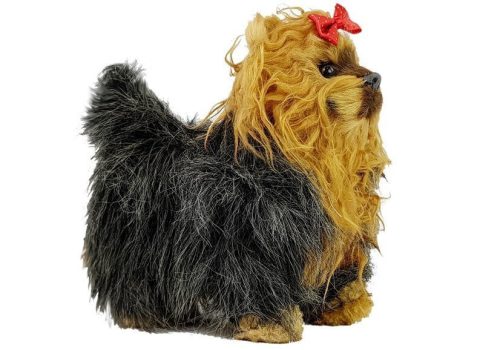 Interaktív Yorkshire terrier kutya mozgások, ugatások