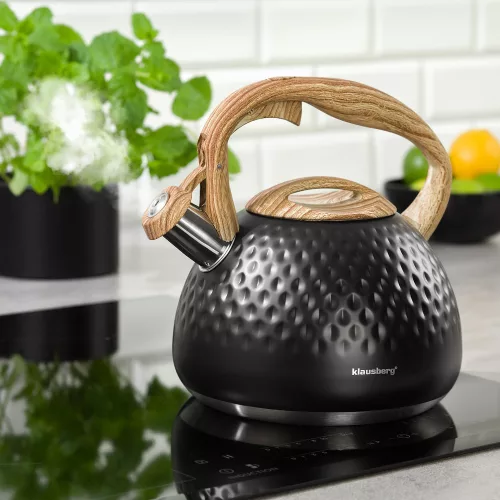 Hagyományos vízforraló 2,8 l, fekete Klausberg