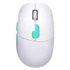 Nitta mm-307 RF+BT vezeték nélküli egér 1600dpi 6p fehér