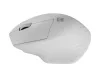 Siskin 2 1600 dpi vezeték nélküli egér bluetooth 5.0 + 2.4ghz, fehér