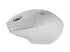 Siskin 2 1600 dpi vezeték nélküli egér bluetooth 5.0 + 2.4ghz, fehér