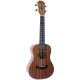 Arrow mh10 sapele koncert ukulele tokkal - koncert ukulele