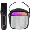 Bluetooth hangszóró mikrofonnal karaoke-hoz Adler AD 1199B