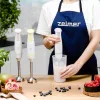 Pulsar zhb4561l zelmer lime botmixer
