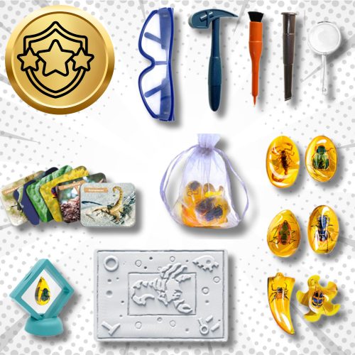 Fosszíliák Rovarfeltárások Borostyánban KIT Kis Régészeknek