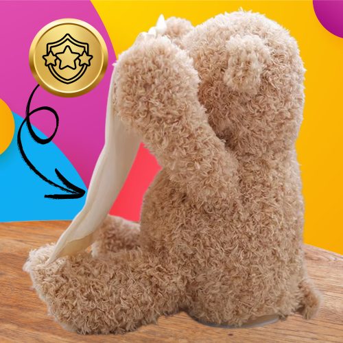 Interaktív mackó, amely mozgatja az arcát és a mancsait. Beszélő plüssjáték, A-Kuku.