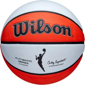   Wilson Nba Authentic Series Kültéri Kosárlabda 5-Ös Méret