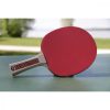 champs line 300 fsc flower asztalitenisz pingpongütő