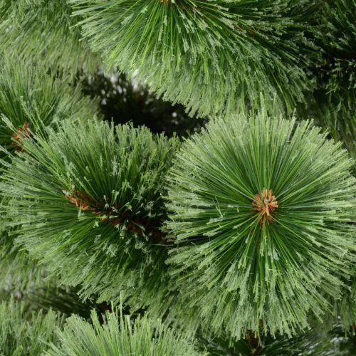 műanyag karácsonyfa Saska Garden 200Cm v2