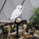 owl solar lámpa 11x8x44cm