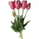 csoport 5 rózsaszín tulipáns 40cm-es élő tavaszi dísz