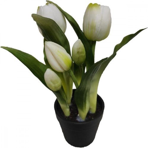 tulipánok edében 5 db, fehér, 23 cm-es, mint élő, gumibevonatos