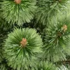 műanyag karácsonyfa Saska Garden 70Cm v2