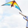 Aerobatic Sport Kite kétvezérlős sárkány 120X55Cm Enero