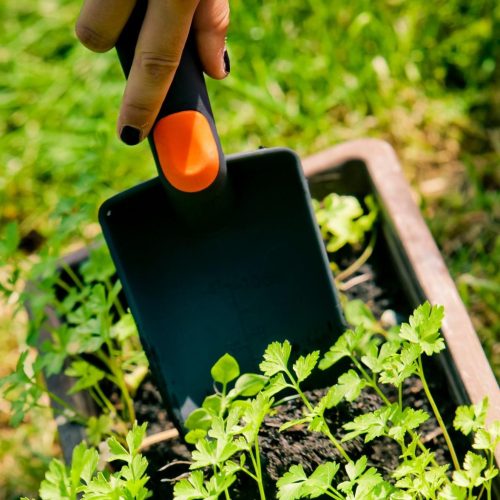 Keskeny Kerti Lapát