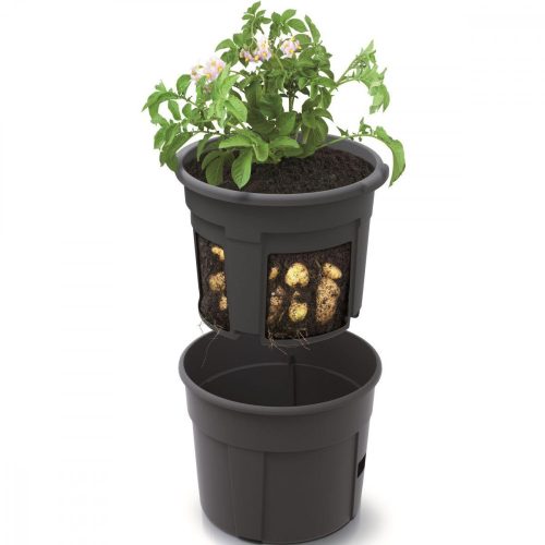 39,2cm átmérő edény burgonya vetésére