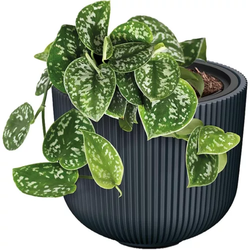 Milly Virágcserép Átmérőjű 24 Cm Réz