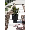 Milly Virágcserép Lábon Átmérőjű 24 Cm