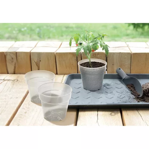 Átlátszó Növénycserép 12Cm