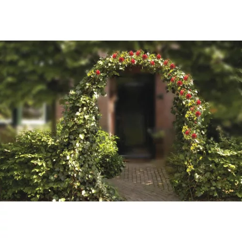 Kinzo  Pergola, rózsafuttató 240cm