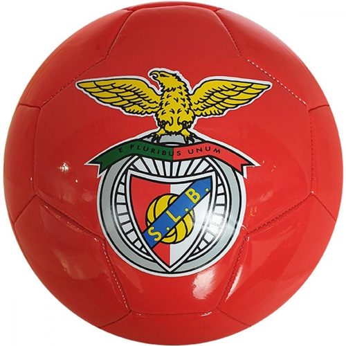 labdarúgás benfica y5  focilabda