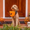 Halloween Cukorka Vödör 17Cm