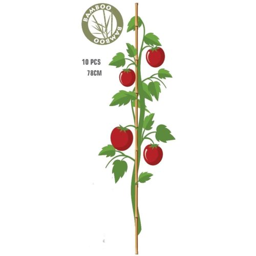 Progarden Bambusz Növénytámasz 78 Cm 10 Db