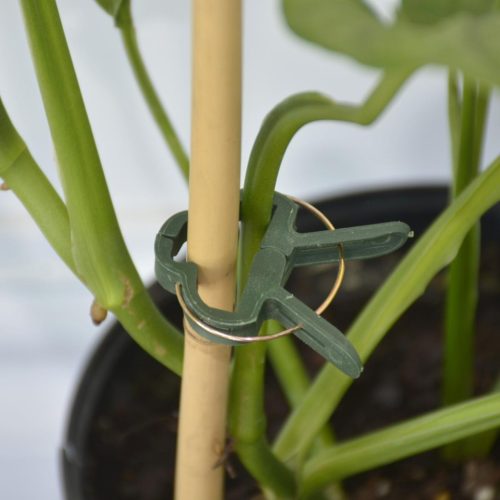 Növénycsipszek 20 Db Progarden