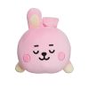 Line Friends BT21 - Plüss párna 28 cm COOKY Baby