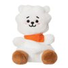 Line Friends BT21 - Plüss  13 cm RJ Palm Pals