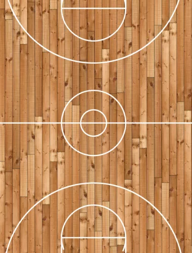 Nexgen Skins 3D hatással iPad 2/3/4 készülékhez (Hardwood Classic 3D)