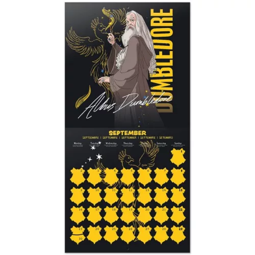 Harry Potter - calendar de perete 2024 (30 x 30 cm)