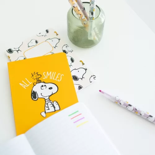 Snoopy - set de rechizite școlare cu 15 piese