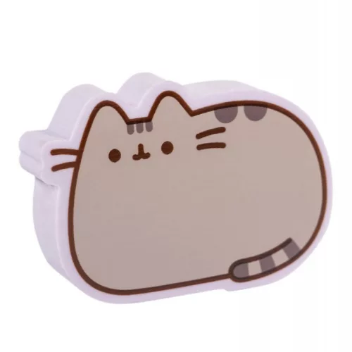 Radiere Pusheen din colecția Moments