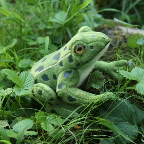 Rappa - Plüss valósághű zöld béka plüssállat 19 cm Környezetbarát