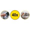 Dunlop - nedves törlőkendők autóablakok tisztításához (40 db)
