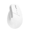 Trust Bayo+ - Ergonomikus vezeték nélküli egér (fehér)