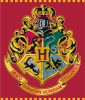 Harry Potter gyapjú takaró 120 X 150