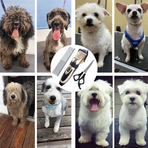 k755d kutyakozmetikai készlet xxl