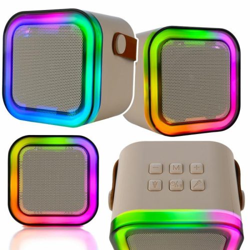 Q17D karaoke készlet, 2db Vezeték nélküli mikrofon és bluetooth hangszóró